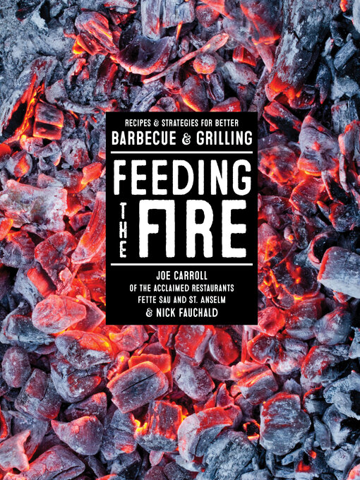 Cover image for Feeding the Fire